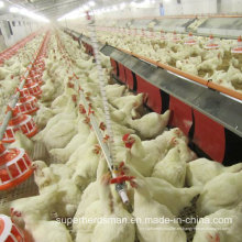 Equipo automático de aves de corral para criadores